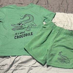 3T/4T Boys Garanimals Green Crocodile matching Set